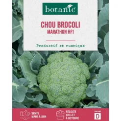 Graines de choux brocolis marathon HF1 botanic® - graines à semer