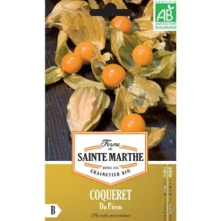 Graines de coqueret du Pérou bio Ferme de Sainte Marthe - graines à semer