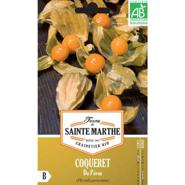 Graines de coqueret du Pérou bio Ferme de Sainte Marthe - graines à semer
