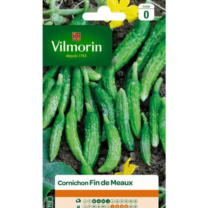 Graines de cornichon fin de Meaux Vilmorin - graines à semer