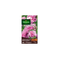 Graines de Cosmos double click rose bonbon Vilmorin graines d’exception - graines à semer