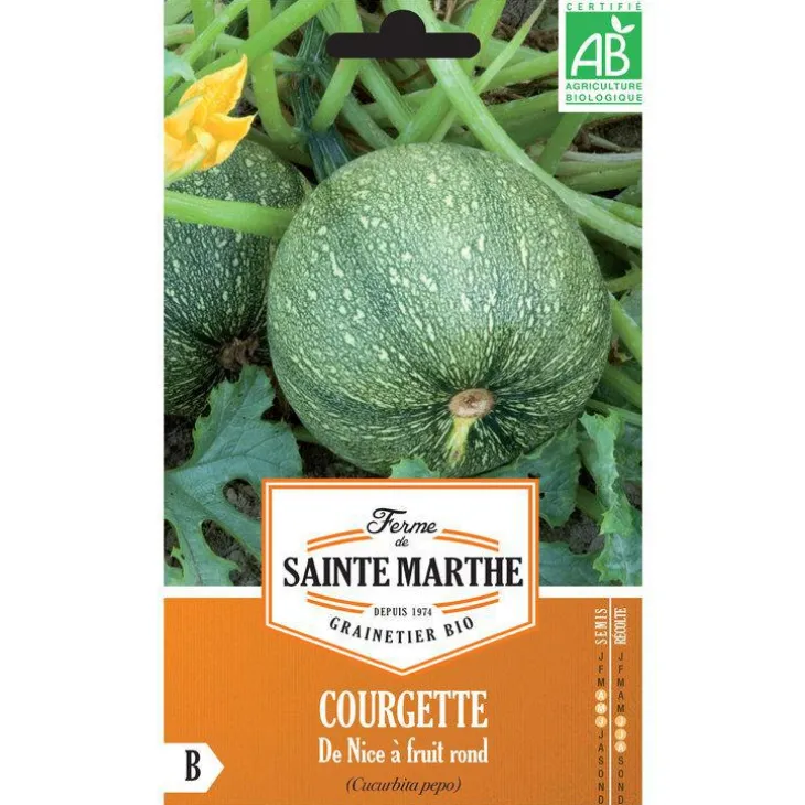 Graines de courgette de Nice à fruits ronds bio Ferme de Sainte Marthe - graines à semer