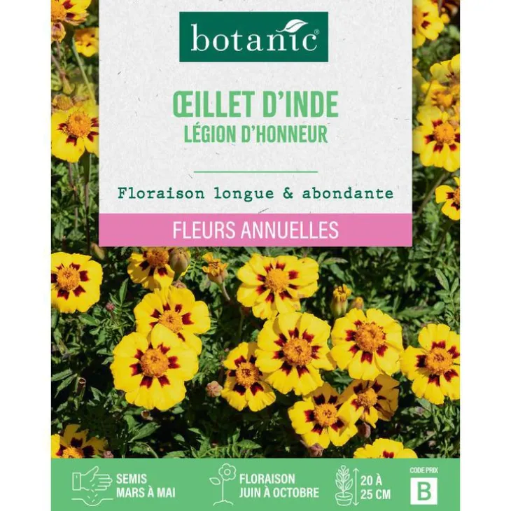 Graines de fleurs d'Œillet d'inde légion d'honneur botanic®