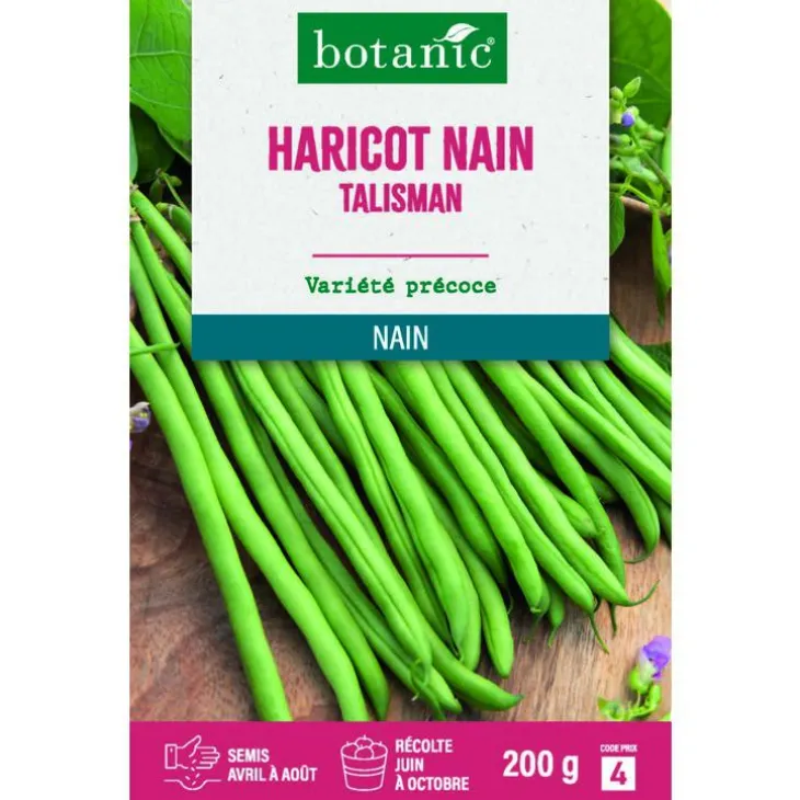 Graines de haricot nain talisman extra-fin sans fil botanic® - graines à semer 200 g