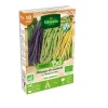 Graines de Haricot Rame mix bio Vilmorin - graines à semer