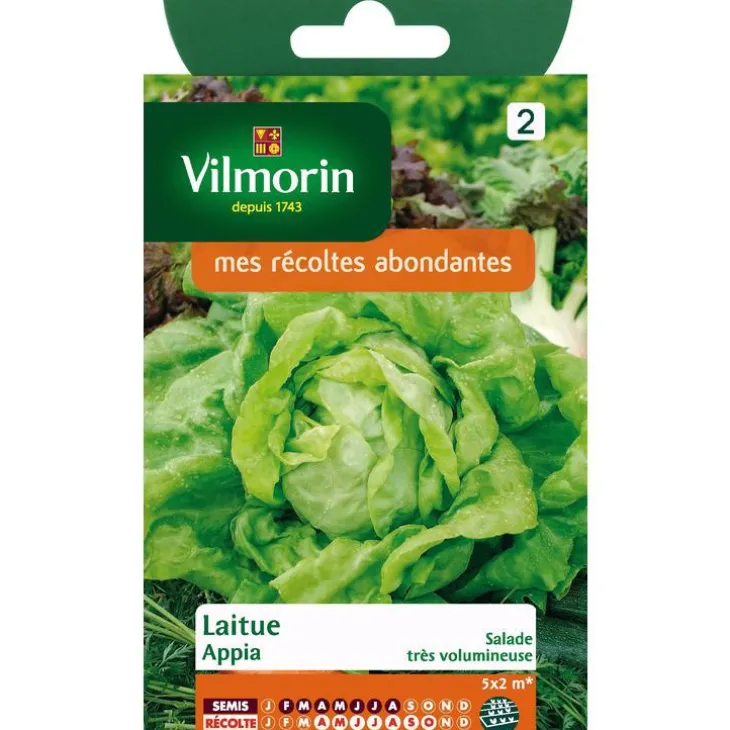 Graines de laitue appia Vilmorin 5 x 2 mètres - graines à semer