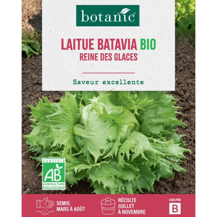 Graines de laitue batavia reine des glaces bio botanic® - graines batavia semer