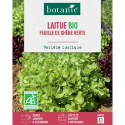 Graines de laitue feuille de chêne verte bio botanic® - graines à semer
