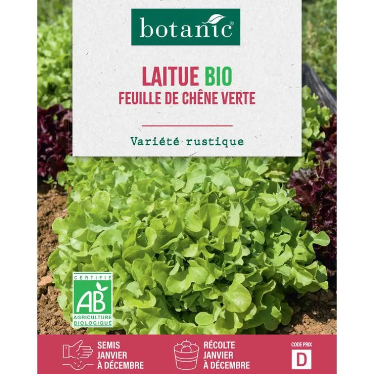 Graines de laitue feuille de chêne verte bio botanic® - graines à semer