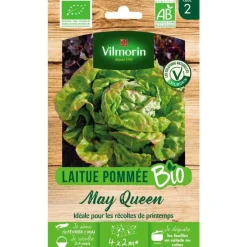 Graines de laitue may queen bio Vilmorin - graines à semer