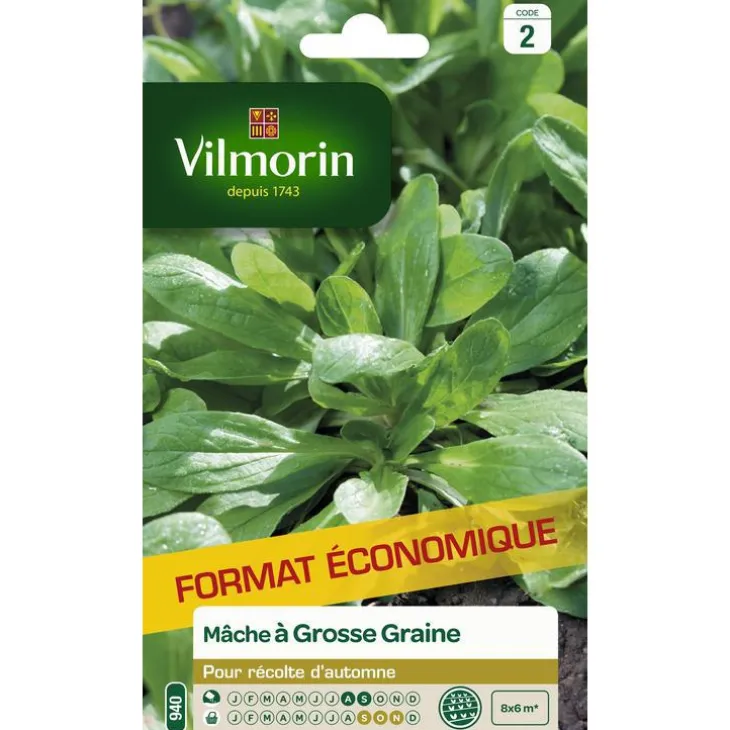 Graines de mâche à grosse graine Vilmorin - graines à semer