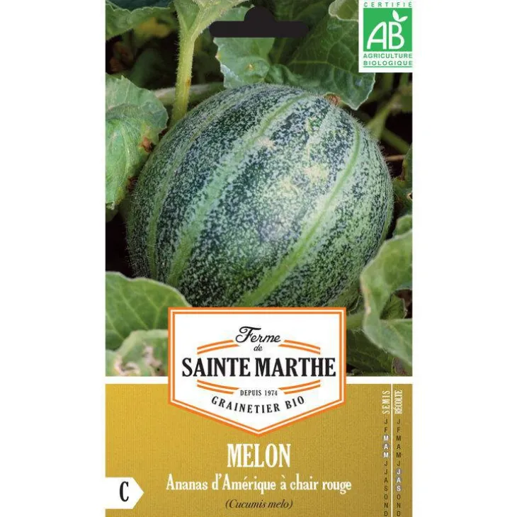 Graines de Melon Ananas d’Amérique à chair rouge bio Ferme de Sainte Marthe - graines à semer