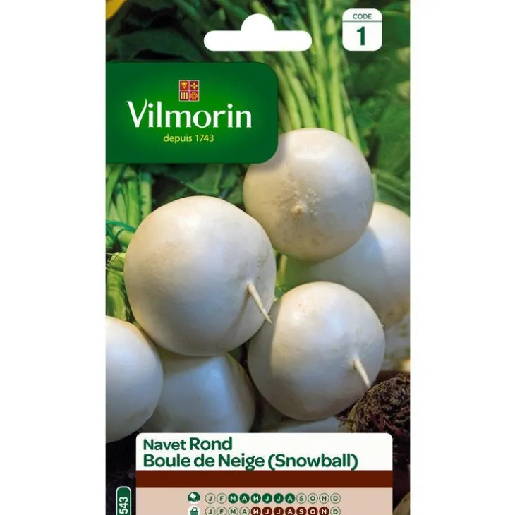 Graines de navet rond boule de neige Vilmorin - graines à semer