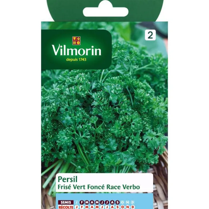Graines de persil frisé vert foncé race verbo Vilmorin - graines à semer