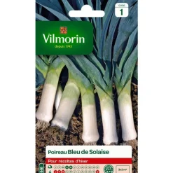 Graines de poireau bleu solaise Vilmorin - graines à semer