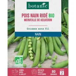 Graines de pois nain ridé merveille de kelvedon bio botanic® - graines nain semer