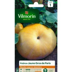 Graines de potiron jaune gros de Paris Vilmorin - graines à semer