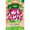 Graines de radis de 18 jours bio Vilmorin - graines à semer