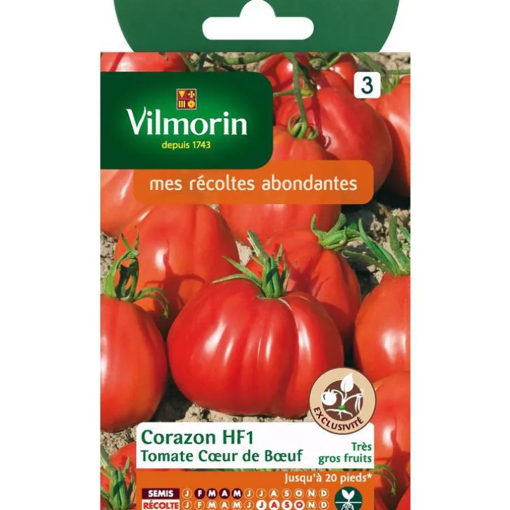 Graines de tomate cœur de bœuf Vilmorin - graines à semer