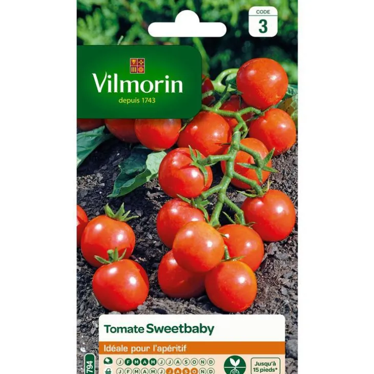 Graines de tomate sweetbaby Vilmorin - graines à semer