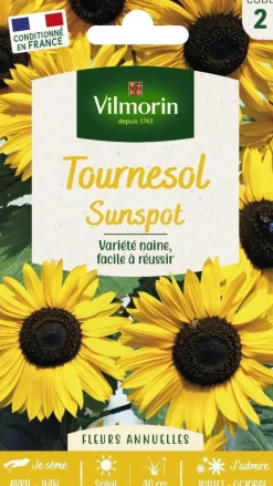 Graines de Tournesol Sunspot Vilmorin - graines à semer