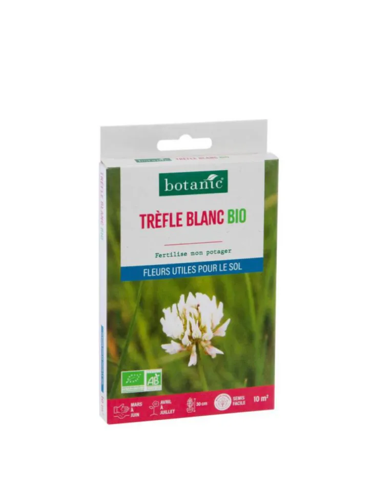 Graines de Trèfle blanc bio botanic® - graines à semer (10 m²)