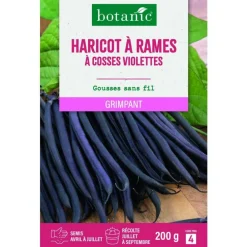 Graines d'haricot à rames à cosses violettes botanic® - graines à semer
