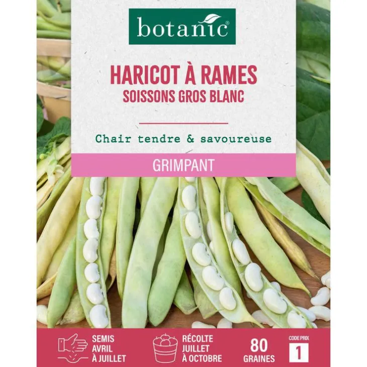 Graines d'haricot à rames soissons gros blanc botanic® - 80 graines à semer