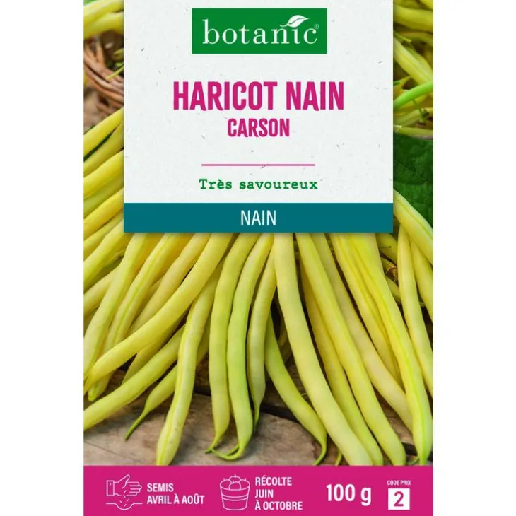 Graines d'haricot nain carson botanic® - graines à semer 100 g