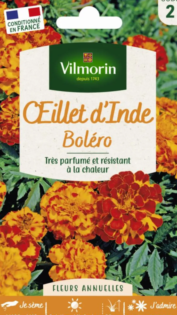Graines d’œillet d’Inde Bolero Vilmorin - graines à semer