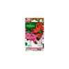 Graines d’Impatiens Hybride variée Vilmorin - graines à semer