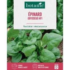 Graines d'épinard odysseus HF1 botanic® - graines à semer