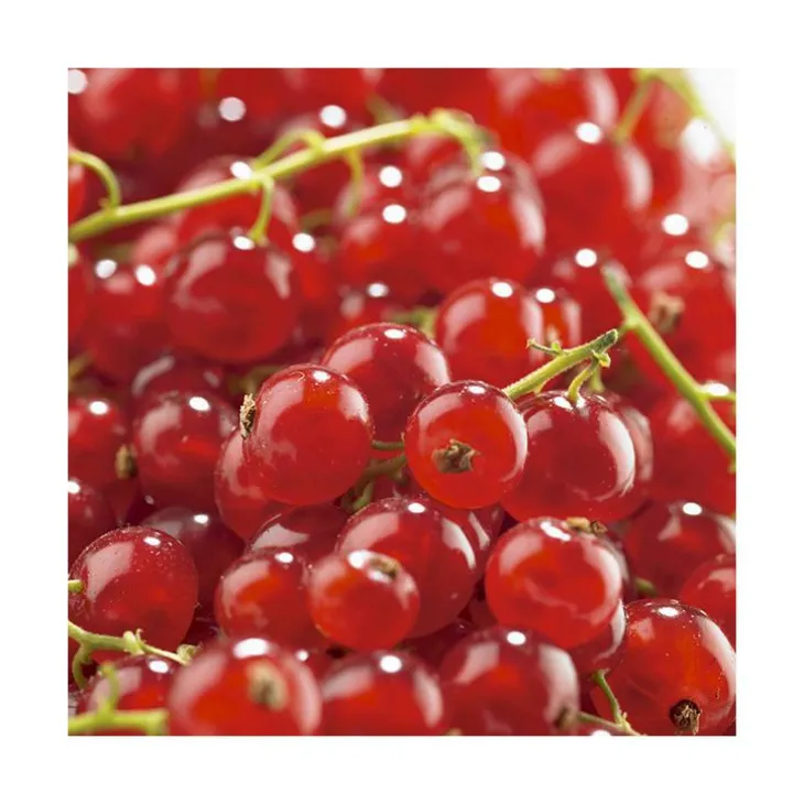 Groseillier A Grappe Agate Rouge ®. Le pot de 2 litres