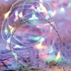 Guirlande lumineuse à 80 micro LED multicolore animée sur câble argent - 4 m