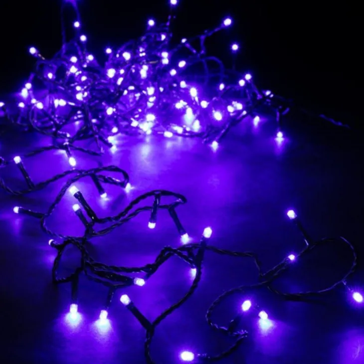Guirlande lumineuse LED à lumière animée bleu sur secteur - 8 m