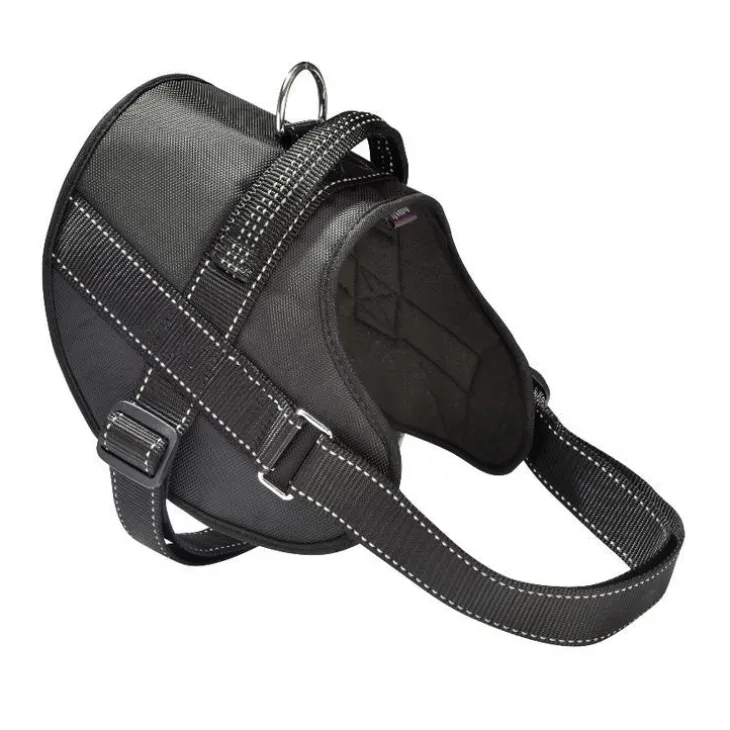 Harnais Easy Safe L noir