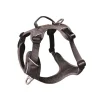 Harnais pour chien coloris gris anthracite Kyflie Momentum Urban - Taille 1