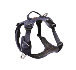 Harnais pour chien coloris bleu foncé Kyflie Momentum Urban - Taille 2