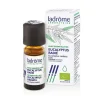 Huile essentielle bio d'Eucalyptus radié Ladrôme - 10 ml