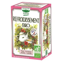 Infusion Refroidissement bio 36 g