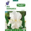 Iris Germanica Skating Party blanc botanic® - 5 bulbes
