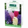 Jacinthe botanic® - 8 bulbes