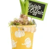 Jacinthe x 1 pot zinc décor courges - Ø 8 cm