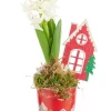 Jacinthe x 1 pot zinc rouge décor village - Ø 8 cm