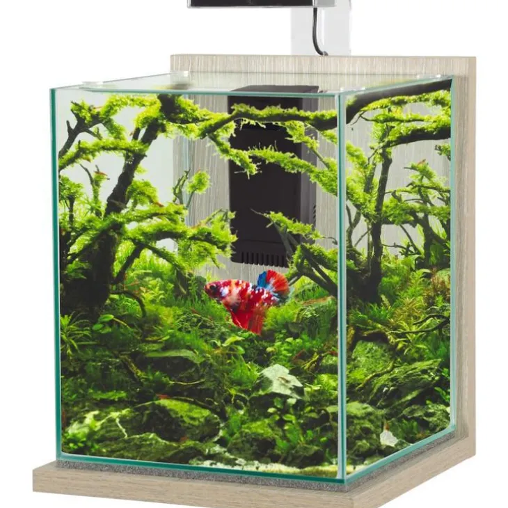 Kit aquarium Jalaya XL coloris zebrano gris Zolux - 25 x 25 x 30 cm