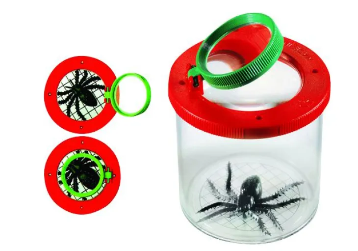 La meilleure boîte à insectes du monde Keycraft - 7 cm