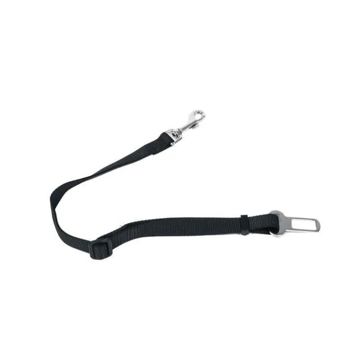 Laisse Ceinture Sécurité 20 mm/ 75 cm