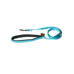 Laisse chien nylon 25 mm / 120 cm bleu