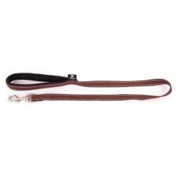 Laisse Neo+ pour chien coloris marron 2x100 cm