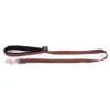 Laisse Neo+ pour chien coloris marron 1,5x100 cm